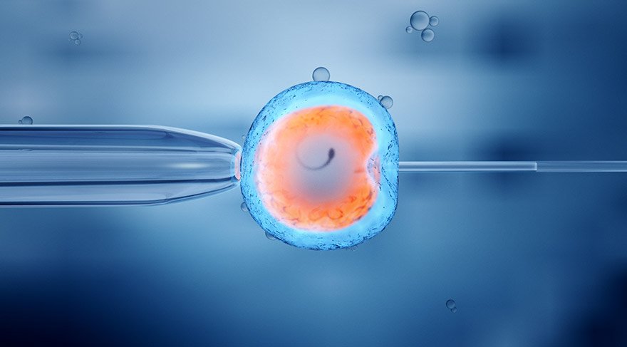 Tüp Bebek Tedavisi Nasıl Yapılır? Adım Adım Süreç