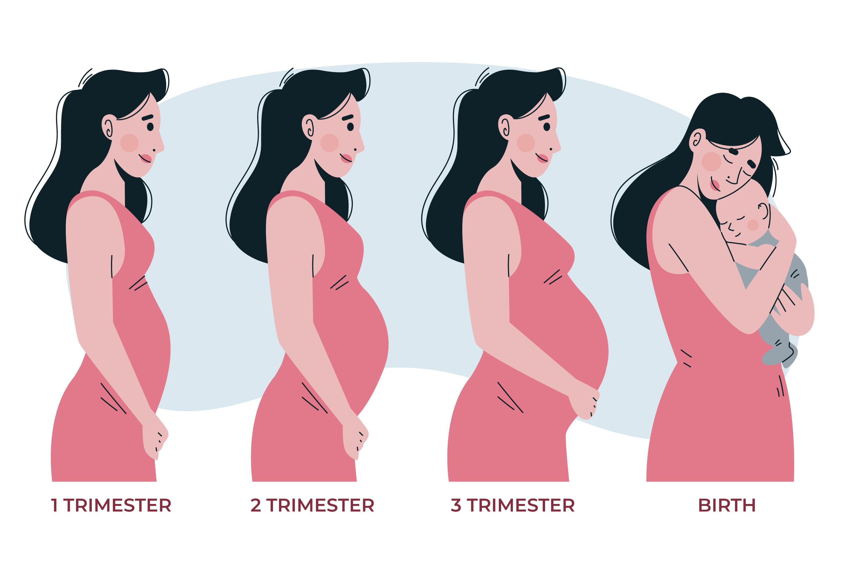 Как отличить беременную. Беременность. Этапы беременности. Беременность картинки. Беременные женщины стадии.