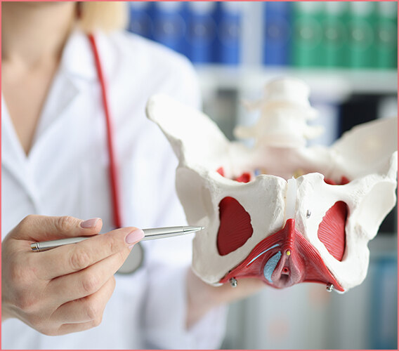 Kızlık Zarı Dikimi Nasıl Yapılır? - Blog